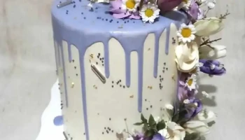 Alecia Huber Pastelería - Cipolletti