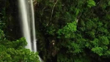 Cainguás - Misiones