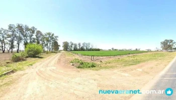 Campito Hd - Las Rosas