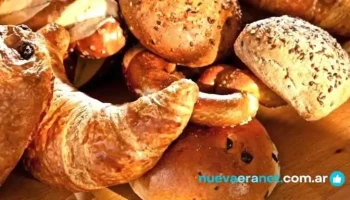 Cono Sur Levaduras Srl - Corrientes