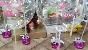 Cotillon La Casa Del Repostero - Las Rosas