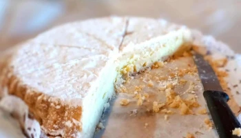 El Pan De Vida - Centenario