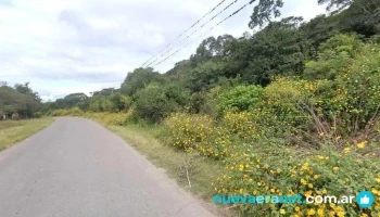 El remate - Palpalá