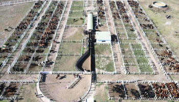 Esteban Abelenda S.a. Consignataria de Hacienda - Reconquista