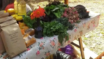 Feria de Productores de la Economía Social de Salsipuedes - Colón