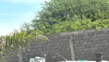Finca El Jerachin - Clodomira