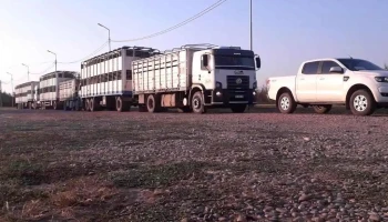 Ganaderos de Formosa s.r.l. Consignataria y transporte de Hacienda. - Formosa