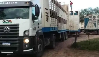 Ganaderos de Formosa s.r.l. Consignataria y transporte de Hacienda - Ibarreta