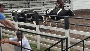 Grimaldi Remates Ferias Sa - La Francia