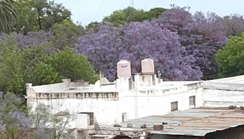 huinca renanco, cordoba - Huinca Renanco