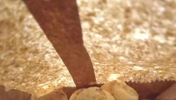 La Chipacería - Salta