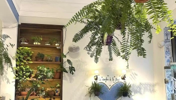 Le Moulin de la Fleur - Cdad. Autónoma De Buenos Aires