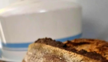 Lógico el origen del pan. - San Juan