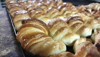 Nt panadería - Godoy Cruz