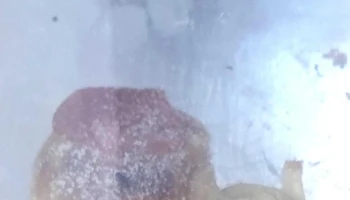 Panadería Anahi - Cosquín