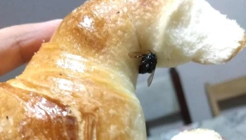 Panaderia 