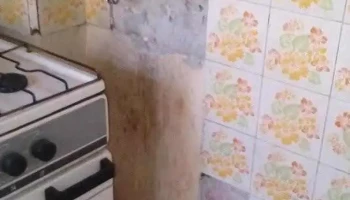 Panaderia El Porvenir - Cipolletti