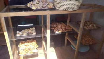 Panaderia 