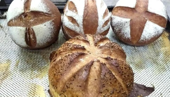 Panadería Palau - Fábrica - Santiago Del Estero