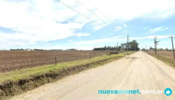 Panificación 