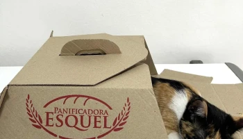 Panificadora Esquel - Esquel