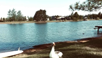 Puerto Roldán - Roldán