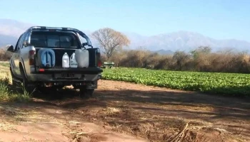 San Cayetano - Salta