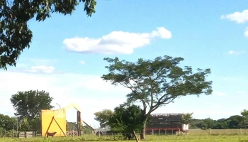 Sociedad Rural De General Paz - Corrientes