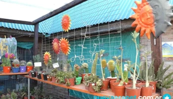 Vivero Jardin La Rural - San Carlos Centro