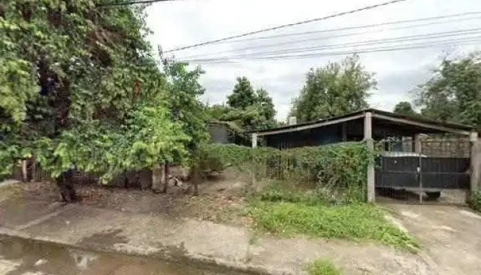 3chinitaspanaderia -  Preciosdeg - Lules
