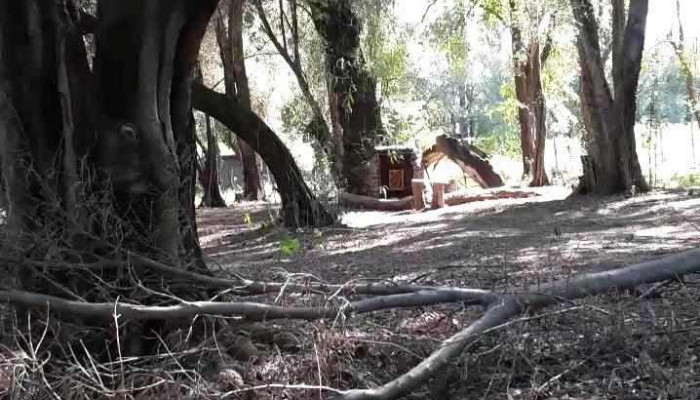 Abuela Faustina -  Videos - San Francisco del Monte de Oro