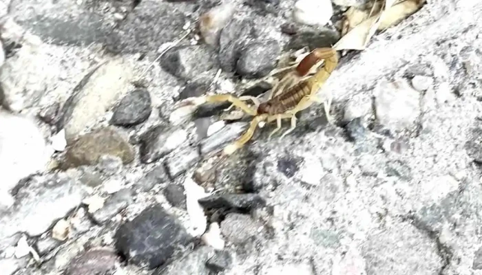 Aguas Termales Residencial -  Videos - Termas de Río Hondo