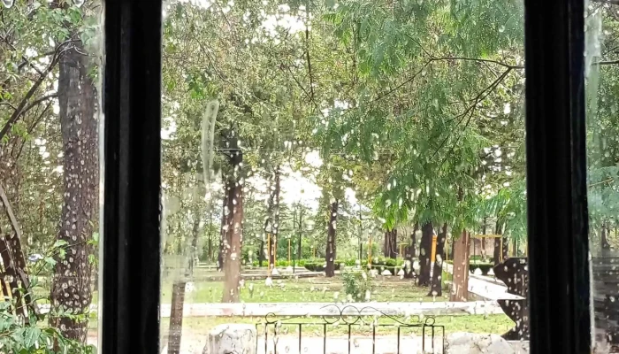 Akasia Hospedaje -  Comentarios - San Francisco del Monte de Oro
