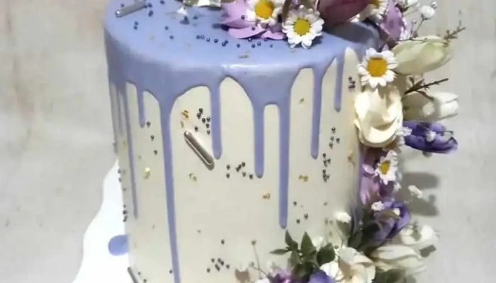 Alecia Huber Pastelería - Cipolletti