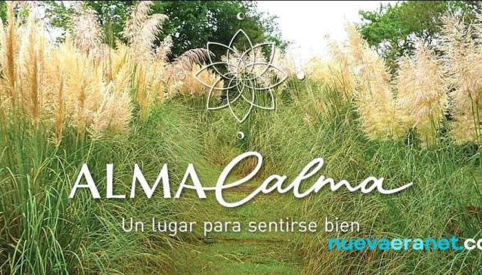 Alma Calma Bungalows -  Del Propietario - Agua de Oro