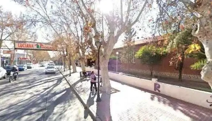 Arbol De Suenos Cerca De Mideg - Rivadavia