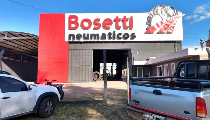 Bosetti Neumaticos -  Del Propietario - Sinsacate