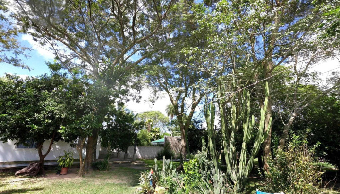 Cabanas Empedrado El Viejo Pescador Promociondeg - Bxe
