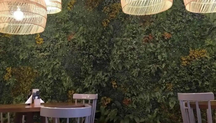 Cafe Nunou Ambiente - Cipolletti