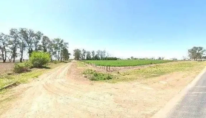 Campito Hd -  Precios - Las Rosas