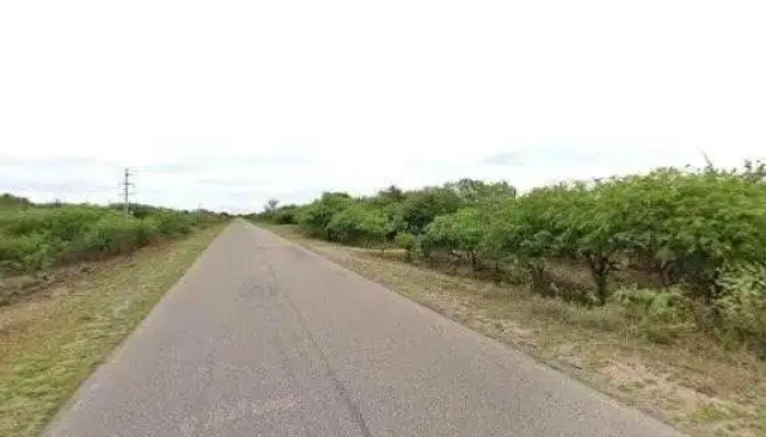 Campo Astas De Oro -  Numero - Sol de Mayo
