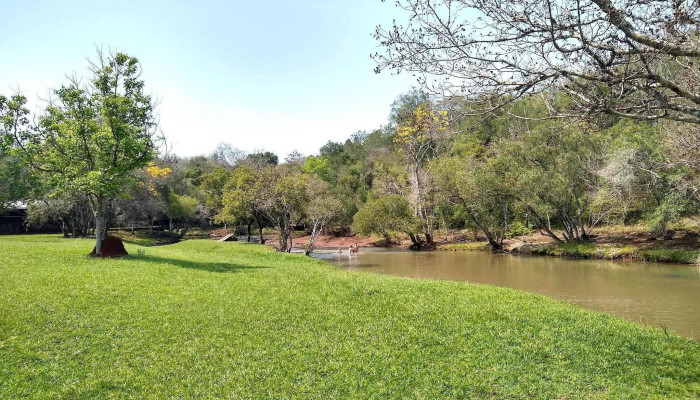 Campo Grande -  Catalogo - Campo Grande