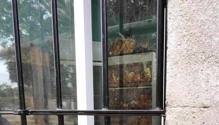 Carro De Facturas -  Ubicacion - San Jose