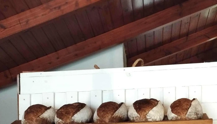 Casa Koko   Panaderia De Masa Madre Ubicacion - Lago Puelo