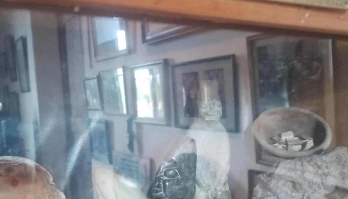 Casa Museo De Henry Viegas -  Videos - San Francisco del Monte de Oro