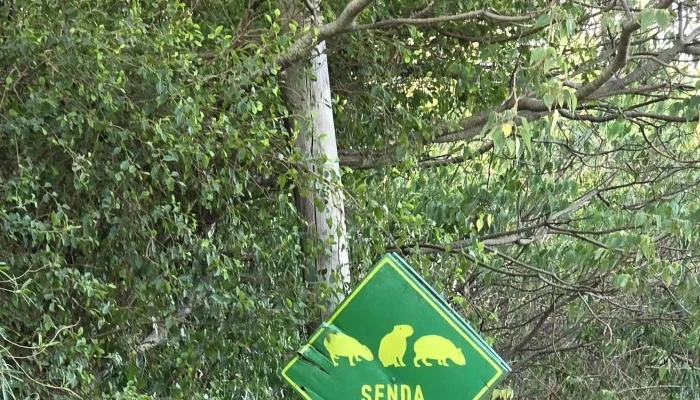 Casa Piri Precios - Col. Carlos Pellegrini