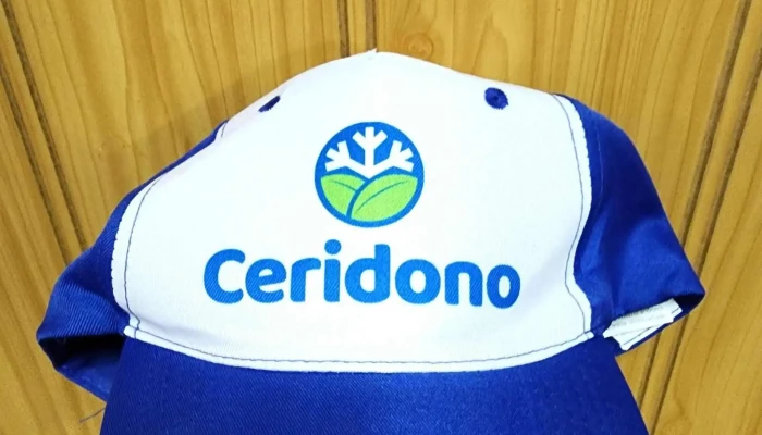 Ceridono Repuestos Refrigeracion Direccion - San Miguel de Tucumán