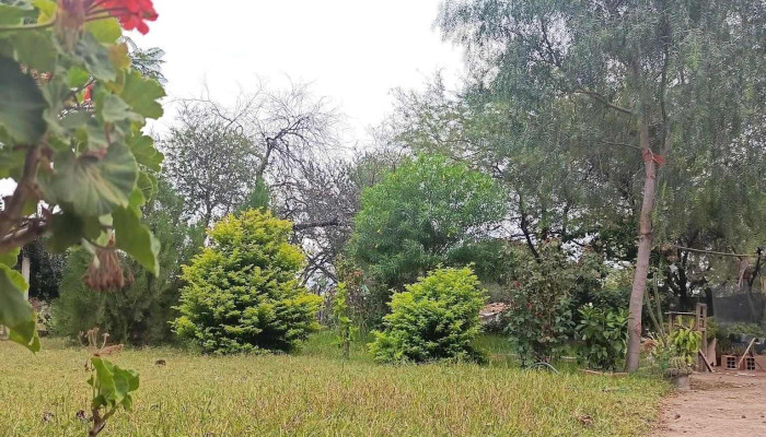 Chanar Pozo Ozo De Arriba De Los Visitantes - Termas de Río Hondo