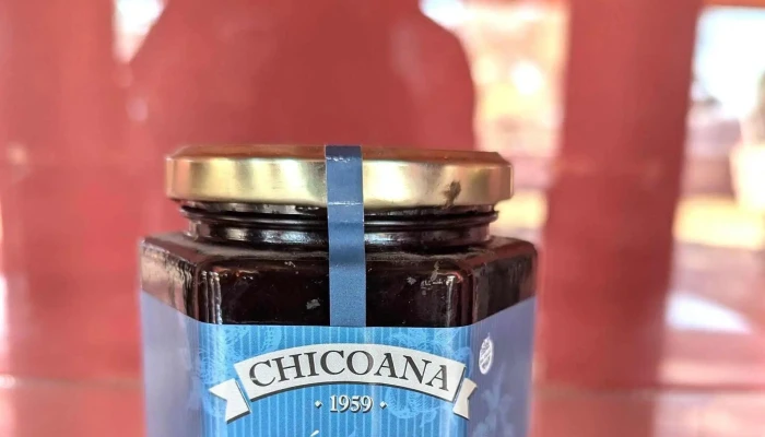Chicoana -    Sabores Artesanales Opiniones - El Carril