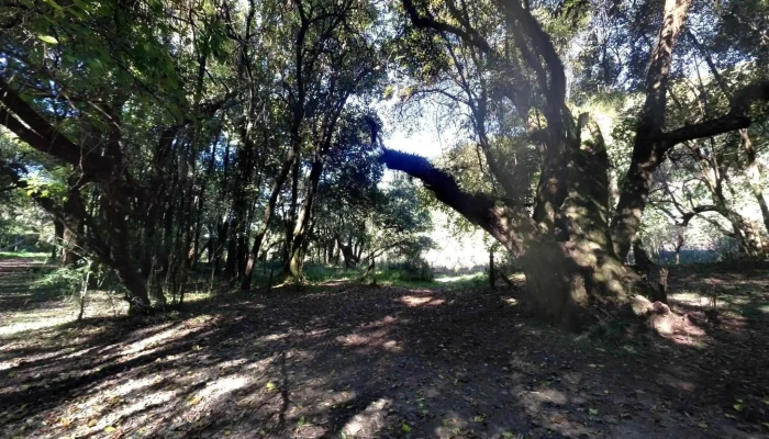 Chicoana -  Horariodeg - Salta